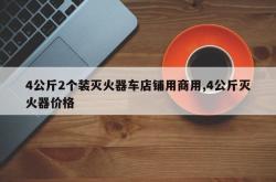 4公斤2个装灭火器车店铺用商用,4公斤灭火器价格