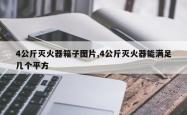 4公斤灭火器箱子图片,4公斤灭火器能满足几个平方