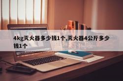 4kg灭火器多少钱1个,灭火器4公斤多少钱1个