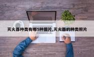 灭火器种类有哪5种图片,灭火器的种类照片