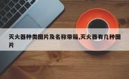 灭火器种类图片及名称带箱,灭火器有几种图片