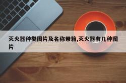 灭火器种类图片及名称带箱,灭火器有几种图片