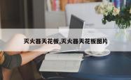 灭火器天花板,灭火器天花板图片